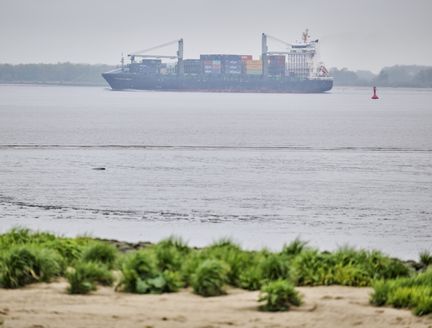 Containerschiff schippert über die Elbe